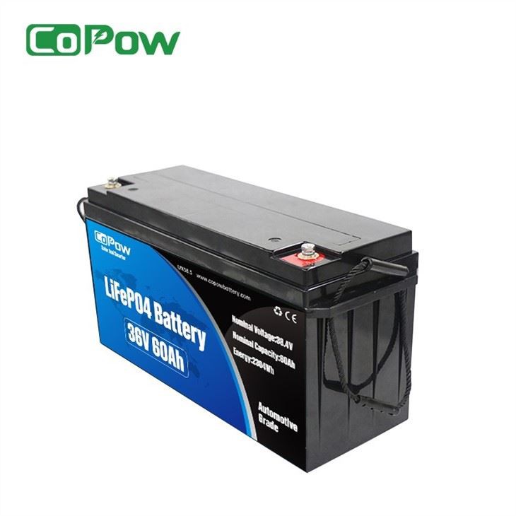 36v 60ah lithium battery (2)